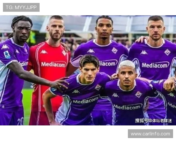 意甲球队英超球队名单：意甲与英超球队的交锋记录与联赛影响